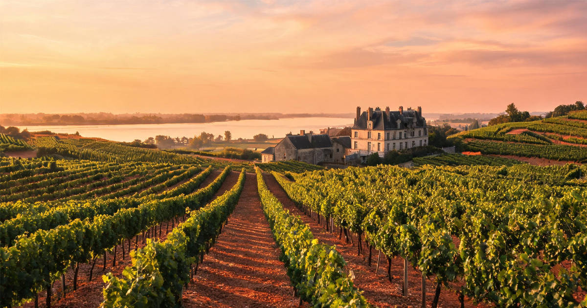 Bordeaux Wine Region: Terroir, Grapes & Vintages