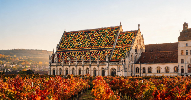 Burgundy Wine Region: Terroir, Climats & Classification|Yearts