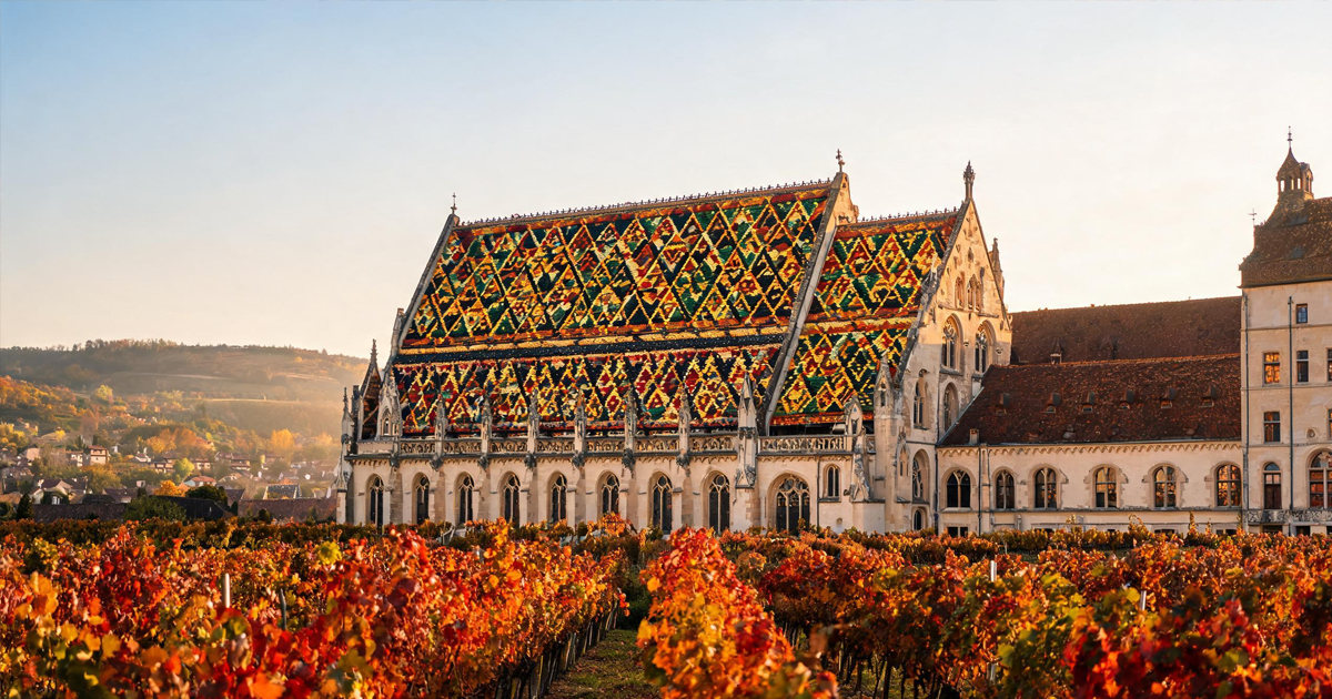 Burgundy Wine Region: Terroir, Climats & Classification