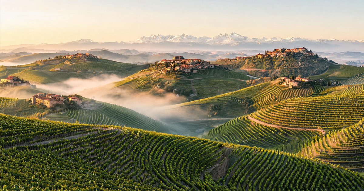 Piedmont Wine Region: Nebbiolo, Barolo & the Foggy Hills of Italy’s Noblest Vineyards