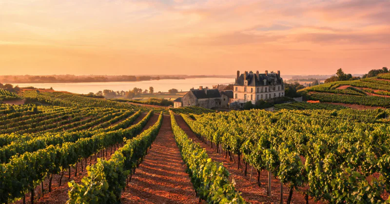 Bordeaux Wine Region: Terroir, Grapes & Vintages|Yearts
