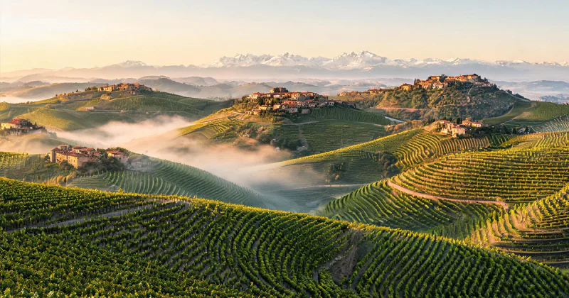 Piedmont Wine Region: Nebbiolo, Barolo & the Foggy Hills of Italy’s Noblest Vineyards|Yearts